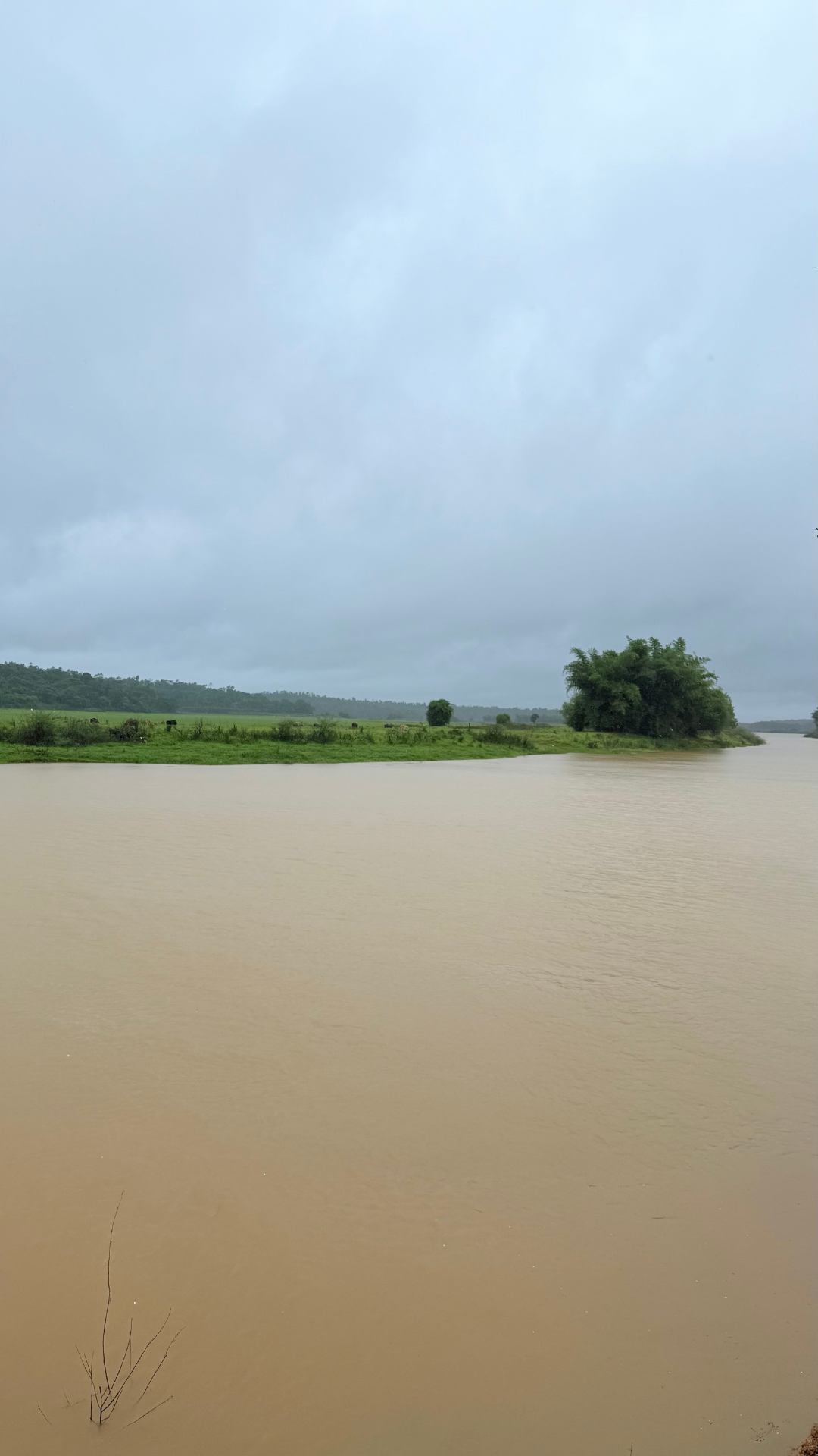 Half-Acre Coffee Estates in Sakleshpur: Small Plots, Big Lifestyle Untitled design 2025 07 08T120621.455