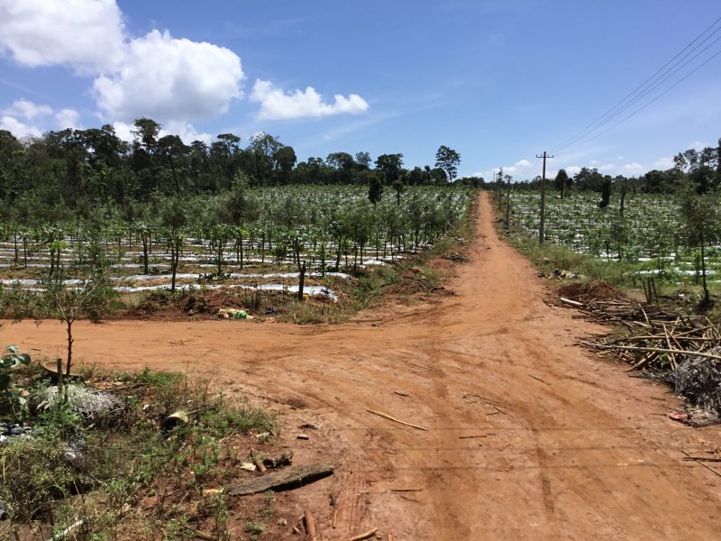 farmlands